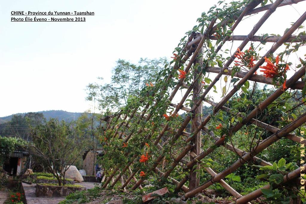 016 - Tuanshan.JPG